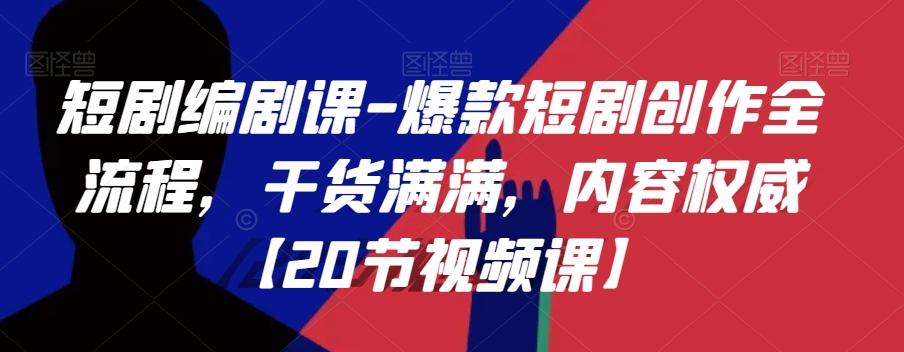 短剧编剧课-爆款短剧创作全流程，干货满满，内容权威【20节视频课】-泡泡网赚