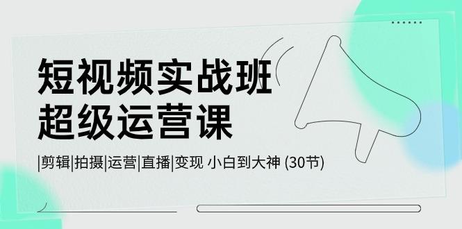 短视频实战班超级运营课 |剪辑|拍摄|运营|直播|变现 小白到大神 (30节)-泡泡网赚