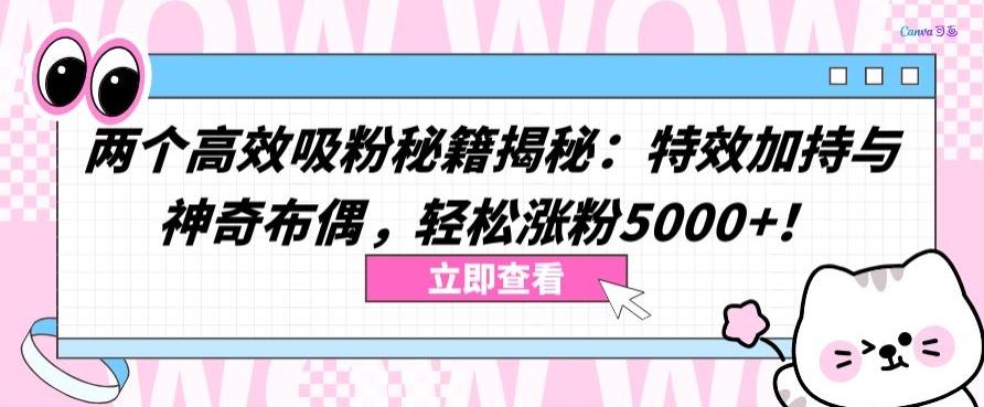 两个高效吸粉秘籍揭秘：特效加持与神奇布偶，轻松涨粉5000+【揭秘】-泡泡网赚