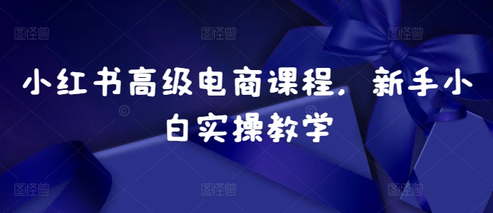 小红书高级电商课程，新手小白实操教学-泡泡网赚