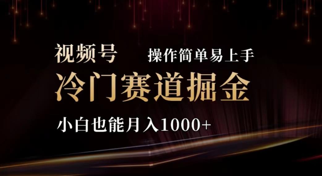 2024视频号冷门赛道掘金，操作简单轻松上手，小白也能月入1000+-泡泡网赚