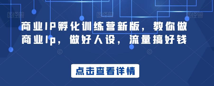 商业IP孵化训练营新版，教你做商业Ip，做好人设，流量搞好钱-泡泡网赚