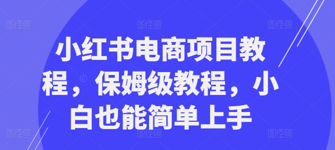 小红书电商项目教程，保姆级教程，小白也能简单上手-泡泡网赚