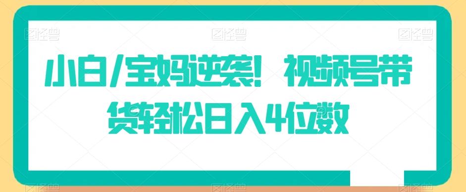 小白/宝妈逆袭！视频号带货轻松日入4位数【揭秘】-泡泡网赚