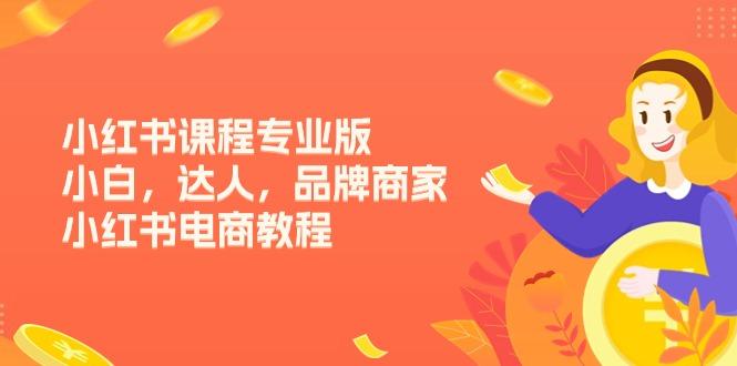 小红书课程专业版，小白，达人，品牌商家，小红书电商教程(15节-泡泡网赚