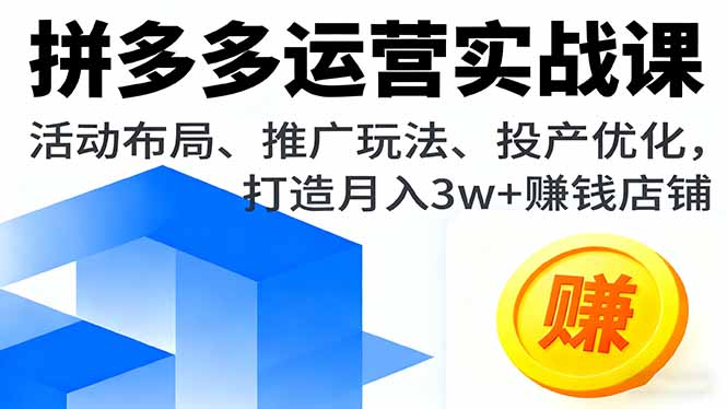 拼多多运营实战课，活动布局、推广玩法、投产优化，打造月入3w+赚钱店铺-泡泡网赚