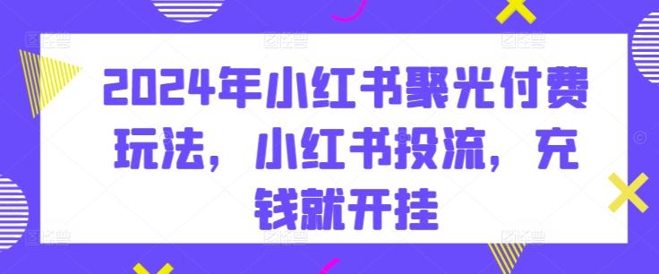 2024年小红书聚光付费玩法，小红书投流，充钱就开挂-泡泡网赚