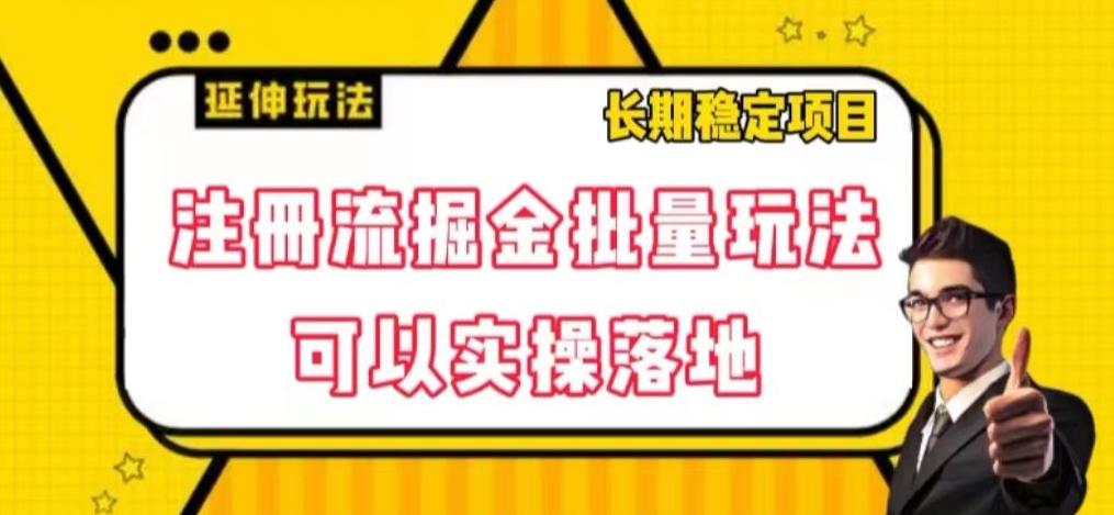 注册流掘金批量玩法，可以实操落地【揭秘】-泡泡网赚
