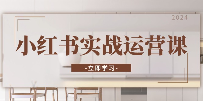 小红书实战运营课：从开通店铺到直播话术，打造爆款笔记与高效直播-泡泡网赚