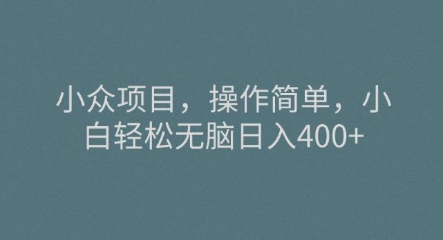 小众项目，操作简单，小白轻松无脑日入400+-泡泡网赚