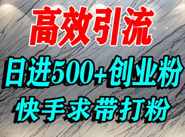 怎么打创业粉？快手求带视角精准引流创业粉，宝妈、学生群体日进500+精准流量-泡泡网赚