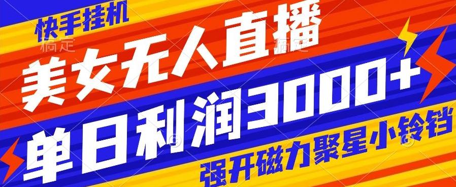 快手挂机，美女无人直播，强开磁力聚星小铃铛，日入3000+-泡泡网赚