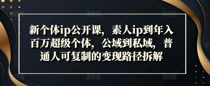 新个体ip公开课，素人ip到年入百万超级个体，公域到私域，普通人可复制的变现路径拆解-泡泡网赚