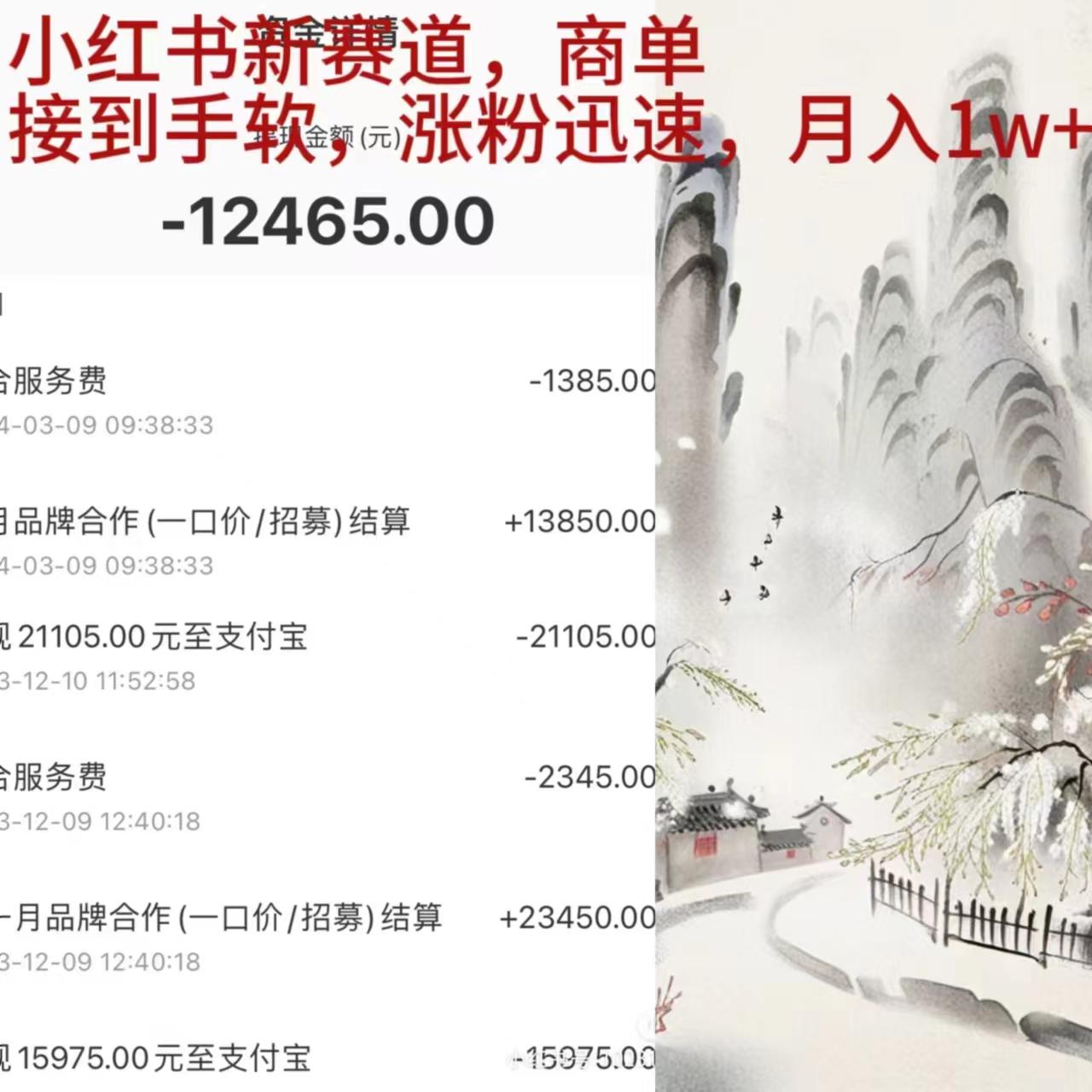 (9476期)小红书新赛道，商单接到手软，涨粉迅速，月入1w+-泡泡网赚