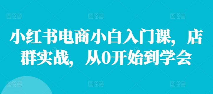 小红书电商小白入门课，店群实战，从0开始到学会-泡泡网赚