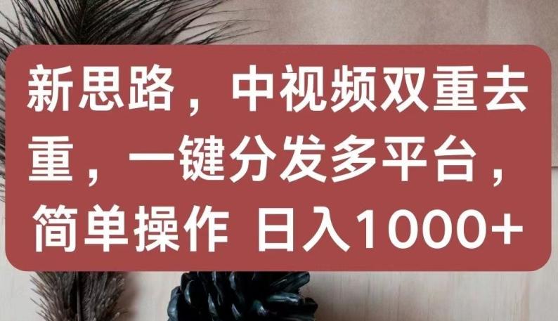 新思路，中视频双重去重，一键分发多平台，简单操作，日入1000+【揭秘】-泡泡网赚