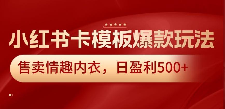 小红书卡模板爆款玩法，售卖情趣内衣，日盈利500+【揭秘】-泡泡网赚