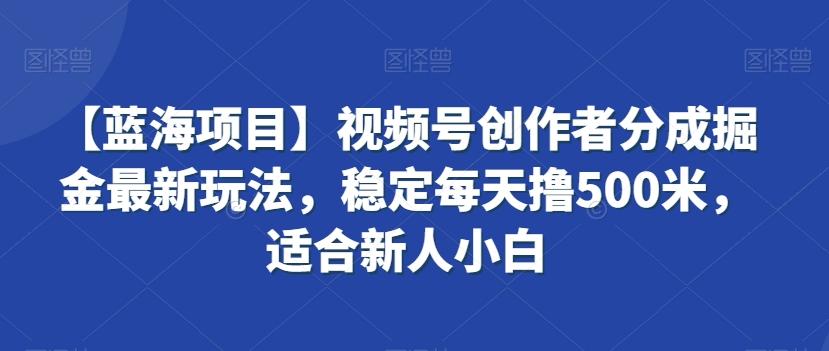 【蓝海项目】视频号创作者分成掘金最新玩法，稳定每天撸500米，适合新人小白【揭秘】-泡泡网赚