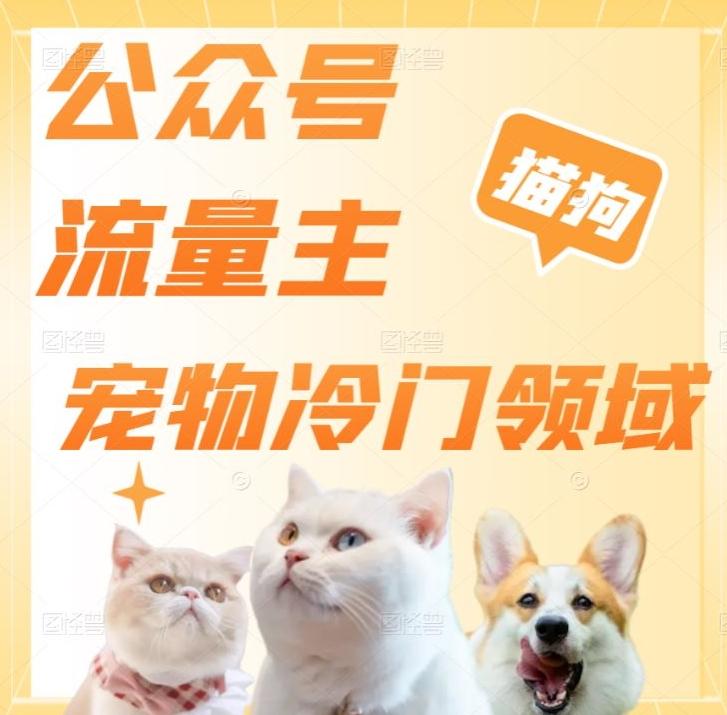公众号流量主，萌宠冷门领域，单日收益2000+，简单暴力掘金，矩阵操作，无限放大收益！-泡泡网赚