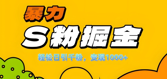 单人单机日引千粉，变现1k+，S粉流量掘金计划攻略【揭秘】-泡泡网赚