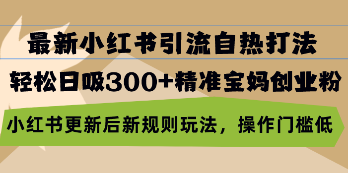 最新小红书引流自热打法，轻松日吸300+精准宝妈创业粉，小红书更新后新…-泡泡网赚