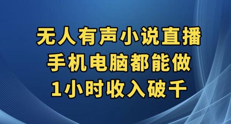 抖音无人有声小说直播，手机电脑都能做，1小时收入破千【揭秘】-泡泡网赚