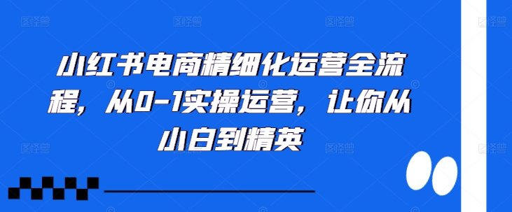 小红书电商精细化运营全流程，从0-1实操运营，让你从小白到精英-泡泡网赚