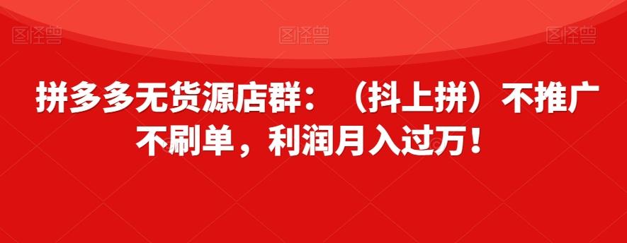 拼多多无货源店群：（抖上拼）不推广不刷单，利润月入过万！【揭秘】-泡泡网赚