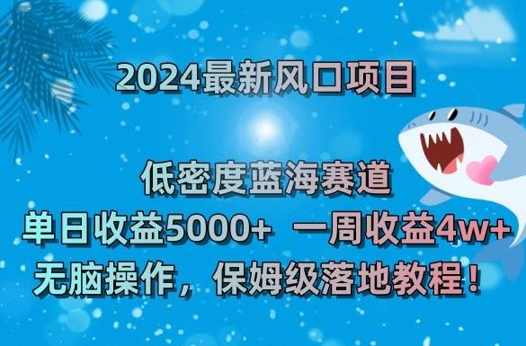 2024最新风口项目，低密度蓝海赛道，单日收益5000+，一周收益4w+！【揭秘】-泡泡网赚