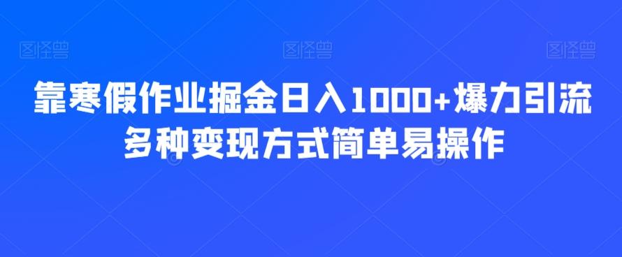 靠寒假作业掘金日入1000+爆力引流多种变现方式简单易操作-泡泡网赚
