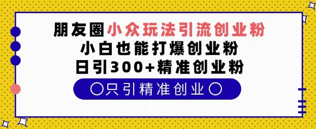 朋友圈小众玩法引流创业粉，小白也能打爆创业粉，日引300+精准创业粉【揭秘】-泡泡网赚