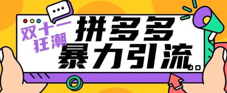 【首发】双十一拼多多暴力引流，日引300+微信-泡泡网赚