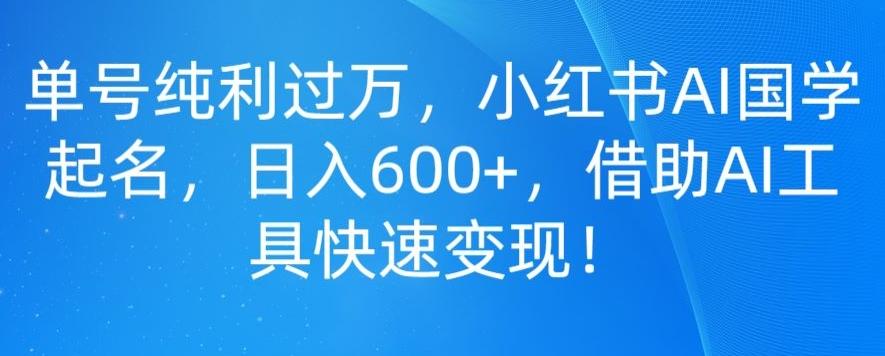 单号纯利过万，小红书AI国学起名，日入600+，借助AI工具快速变现-泡泡网赚