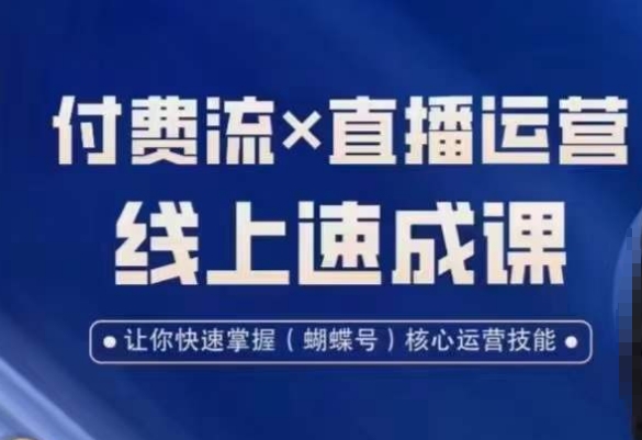 视频号付费流实操课程，付费流✖️直播运营速成课，让你快速掌握视频号核心运营技能-泡泡网赚
