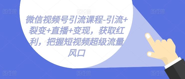 微信视频号引流课程-引流+裂变+直播+变现，获取红利，把握短视频超级流量风口-泡泡网赚