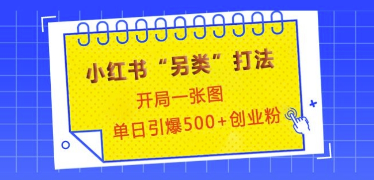 小红书“另类”打法，开局一张图，单日引爆500+精准创业粉【揭秘】-泡泡网赚