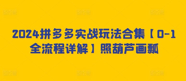 2024拼多多实战玩法合集【0-1全流程详解】照葫芦画瓢-泡泡网赚