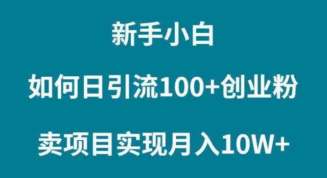 (9556期)新手小白如何通过卖项目实现月入10W+-泡泡网赚