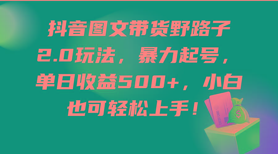 (9790期)抖音图文带货野路子2.0玩法，暴力起号，单日收益500+，小白也可轻松上手！-泡泡网赚