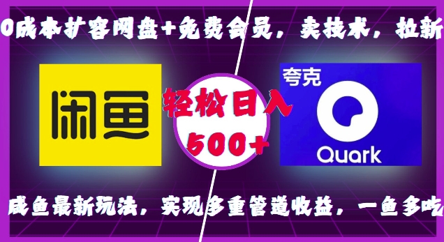 0成本扩容网盘+免费会员，卖技术，拉新，咸鱼最新玩法，实现多重管道收益，一鱼多吃，轻松日入500+-泡泡网赚