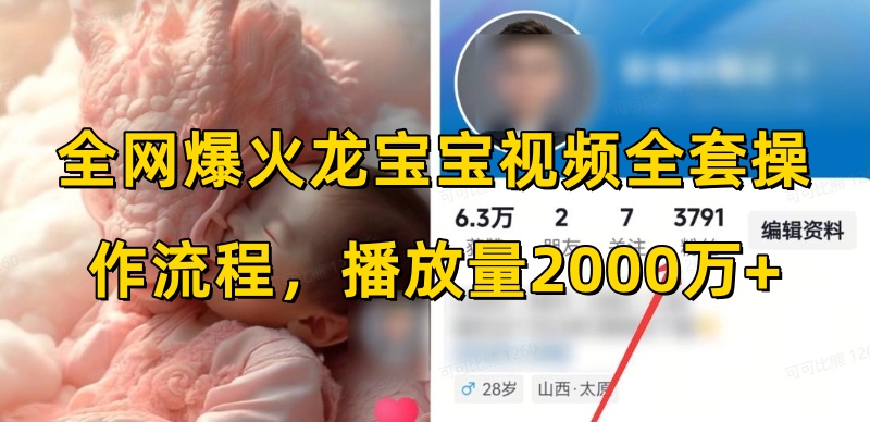 全网爆火龙宝宝视频全套操作流程，播放量2000万+-泡泡网赚