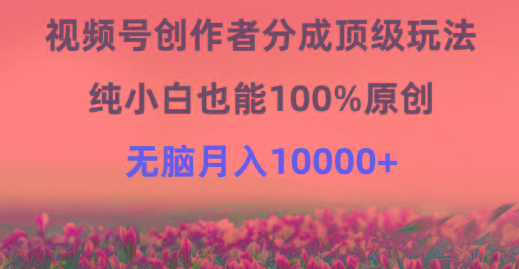 (9608期)视频号创作者分成顶级玩法，纯小白也能100%原创，无脑月入10000+-泡泡网赚