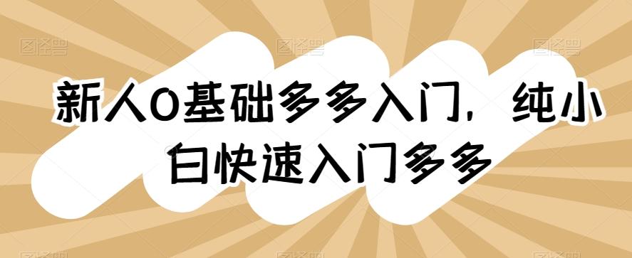 新人0基础多多入门，​纯小白快速入门多多-泡泡网赚