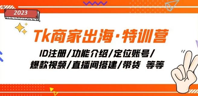 Tk商家出海·特训营：ID注册/功能介绍/定位账号/爆款视频/直播间搭建/带货-泡泡网赚