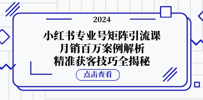 小红书专业号矩阵引流课，月销百万案例解析，精准获客技巧全揭秘-泡泡网赚