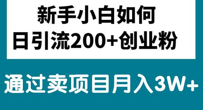 新手小白日引流200+创业粉,通过卖项目月入3W+-泡泡网赚