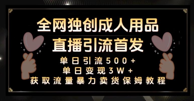 全网独创真人主播+无人直播单日引流500+，橙人用品暴力卖货单日变现3W+保姆似教学2.0【揭秘】-泡泡网赚