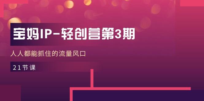 宝妈IP-轻创营第3期，人人都能抓住的流量风口(21节课-泡泡网赚