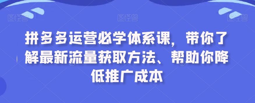 拼多多运营必学体系课，带你了解最新流量获取方法、帮助你降低推广成本-泡泡网赚