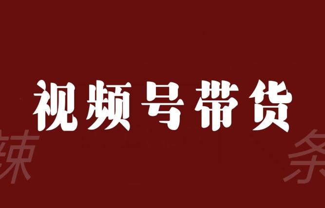 视频号带货联盟，赚信息差的带货钱，只需手机随时随地都可以做！-泡泡网赚
